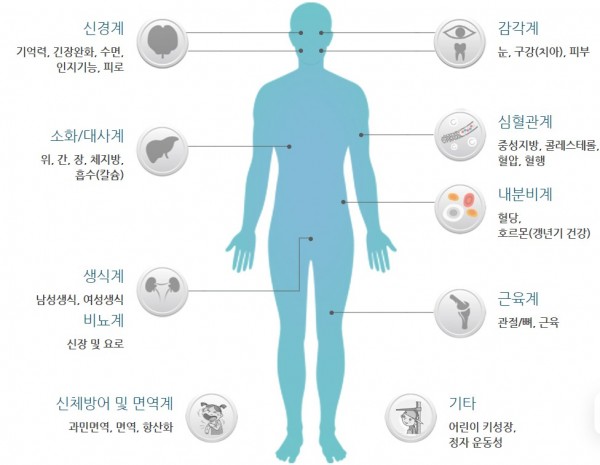 신체 기능별 정보