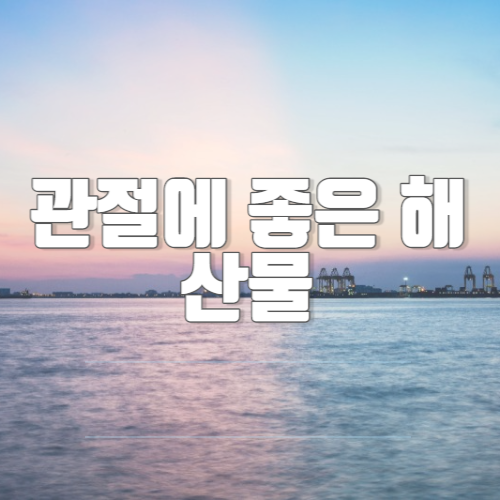 관절에 좋은 해산물