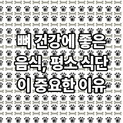 04890fb99b9c7999d5c1abbb853d338e_1779683749_2776.jpg 뼈 건강에 좋은 음식, 평소 식단이 중요한 이유