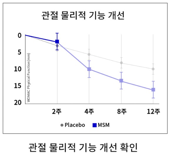 관절 물리적 기능 개선